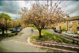a tree in the middle of a street with parked cars at Church View house,2bed,brighouse central location in Brighouse