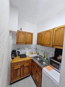a small kitchen with wooden cabinets and a sink at Apartment Aurora in Plužine +13 photos