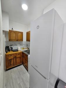 a kitchen with wooden cabinets and a white refrigerator at Apartment Aurora in Plužine