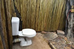 Φωτογραφία από το άλμπουμ του Bush Babies Camp σε Cambridge