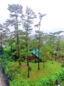 una casa en medio de un bosque con árboles en Cozy Condo in Baguio, en Baguio