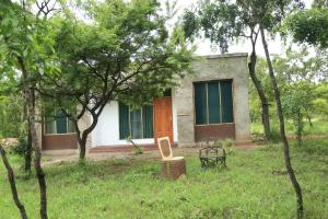 Imagem da galeria de Double G safaris and Camp Mikumi em Mikumi National Park