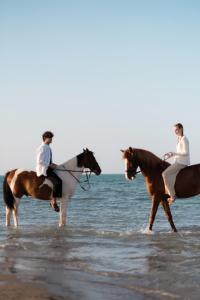two people riding horses on the beach at Hotel Sultan Bey Resort in Hurghada +33 photos