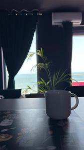 Kohvi ja tee valmistamise võimalus majutusasutuses Funky Breeze by the Sea