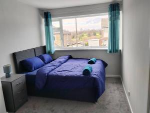 a bedroom with a bed with blue pillows and a window at 3bed house Brighouse - working professionals welcome FREE parking & WI-FI in Brighouse