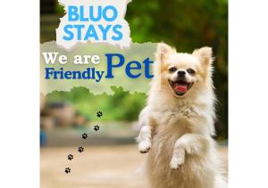 a dog jumping in the air with the words blue stays we are friendship pet at BluO Studio - M Block Mkt Greater Kailash in New Delhi