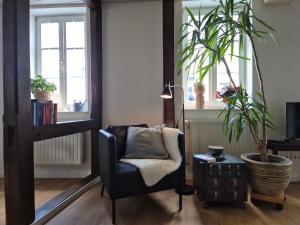 ein Wohnzimmer mit einem Stuhl und einer Topfpflanze in der Unterkunft Wengertshaus in Hammelburg + 22 Fotos