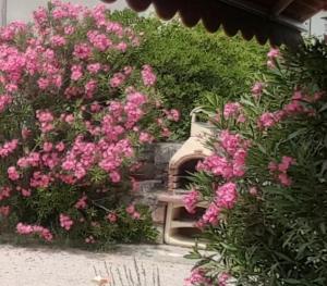 un giardino con fiori rosa accanto a una panchina di Casa Croatia a Punat