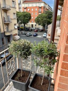 zwei Topfbäume auf dem Balkon eines Gebäudes in der Unterkunft Casa Vicina INALPI ARENA in Turin