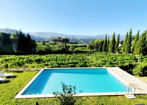 a blue swimming pool in the middle of a field at Casa das Feitorias Douro Valley in Baião