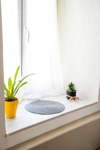 Φωτογραφία από το άλμπουμ του Το σπίτι στην Παλιά Ξάνθη στην Ξάνθη