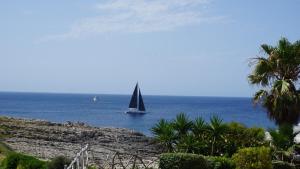 ein Segelboot im Meer mit einer Palme in der Unterkunft Villa en primera linea de mar cerca de Binibeca in Sant Lluís