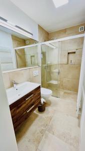 Un baño con lavabo, inodoro y ducha. en Elegante Ferienwohnung mit Kaminofen im Thüringer Wald, en Manebach