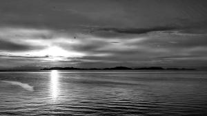 a black and white photo of a body of water at Hotel La Ciotat - A deux pas de l'eau in La Ciotat