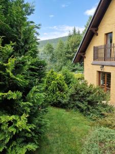 eine Reihe von Bäumen vor einem Haus in der Unterkunft Mikołajówka - przytulny dom z widokiem in Świeradów-Zdrój