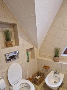 ein Badezimmer mit Toilette und Waschbecken in der Unterkunft Mikołajówka - przytulny dom z widokiem in Świeradów-Zdrój