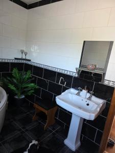 Un baño con lavabo, espejo y una planta. en The Front Room, en Wexford 3 fotos más