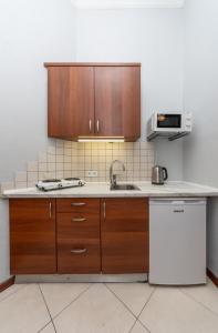 基辅Простора 3 кімнатна біля Майдану Незалежності的配有木制橱柜和水槽的厨房