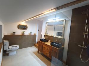a bathroom with a sink and a toilet and a mirror at Loft élégant au cœur de la campagne avec SPA privé in Mauvezin +8 photos