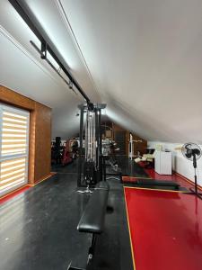 a gym with a bench and a red carpet at Willa Apartament Prestige z sauną i siłownią na wyłączność in Żołynia