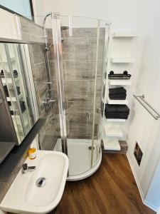 a bathroom with a shower and a sink at Top Appartement in Bremerhaven