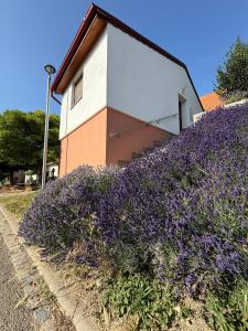 Aed väljaspool majutusasutust Apartmán Pavlenka