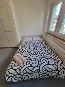 Gallery image of 5 Bedroom City Center Apartment with Balcony Dorf - Self Checkin in Zürich