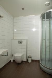 a bathroom with a toilet and a glass shower at Ulvsvåg Gjestgiveri og Fjordcamping AS in Ulvsvåg
