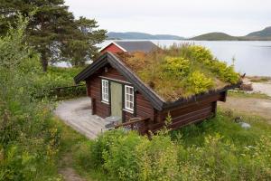 a small cabin with a grass roof on the side of a lake at Ulvsvåg Gjestgiveri og Fjordcamping AS in Ulvsvåg