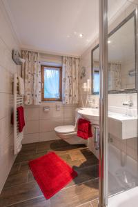 a bathroom with a toilet and a sink and a shower at Chasa Baschenowa in Kappl