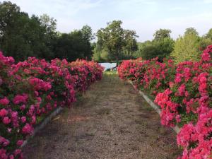Taman di luar Maison du Garde Forestier au cœur des Châteaux de la Loire