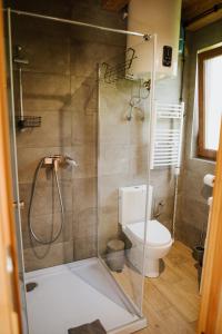 a bathroom with a shower and a toilet at PUŹNIAKÓWKA in Czarna +115 photos