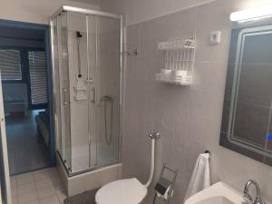 Un baño con ducha, inodoro y lavabo. en Villa Malazzo, en Balatongyörök