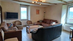 a living room with couches and a tv at Le Mas de Jacquet in Saint-Izaire