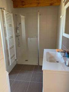 a bathroom with a shower and a white sink at Les Tilleuls in Tréjouls