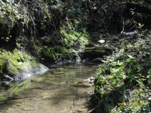 Φυσικό τοπίο κοντά σε αυτή η παραθεριστική κατοικία