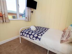 a small bed in a room with a television at Cody Lodge in Ilfracombe