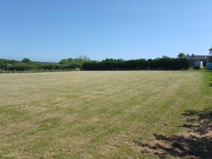 a large field of grass with trees in the background at Southview Wild Camping in Haverfordwest