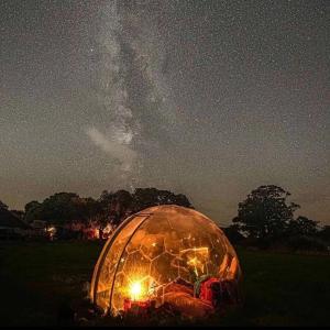 a clear dome with lights in a field at night at Huge Cozy Bell Tent with Tv and Heating in Llanfairpwllgwyngyll +2 photos