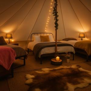 a room with two beds and a dog laying on the floor at Huge Cozy Bell Tent with Tv and Heating in Llanfairpwllgwyngyll