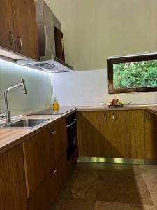 Kuchyň nebo kuchyňský kout v ubytování Faget Forest Villa Cluj
