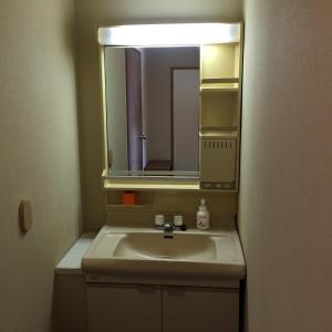 a bathroom with a sink and a mirror at Uchihan in Nozawa Onsen