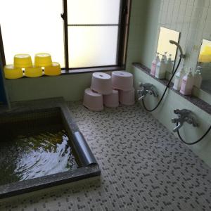 Fotografie z fotogalerie ubytování Uchihan v destinaci Nozawa Onsen
