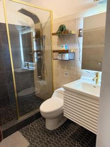 a bathroom with a toilet and a shower and a sink at Villa Catalina Beach House in Punta Santiago