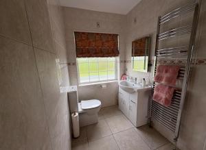 a bathroom with a toilet and a sink at Ma Monaghan's Cosy Cottage County Tyrone in Pomeroy +23 photos