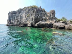 Naturlandskabet i nærheden af båden