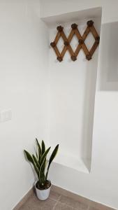 a plant in a pot next to a wall at Borgo di mare in Gaeta