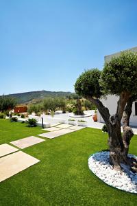 a tree sitting in the middle of a lawn at ACQUA PETRA Pool Villa & Suites in Agrigento