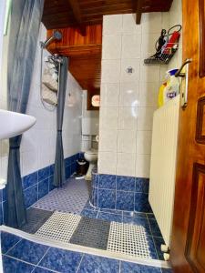 a blue tiled bathroom with a shower and a toilet at Blue Panorama Diamond in Mákri +32 photos