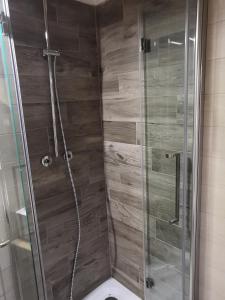 a bathroom with a shower with a toilet at Baita Cima Canale in Malghe Pramarino
